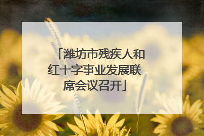 潍坊市残疾人和红十字事业发展联席会议召开