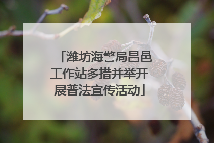 潍坊海警局昌邑工作站多措并举开展普法宣传活动