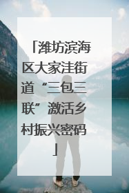 潍坊滨海区大家洼街道“三包三联”激活乡村振兴密码