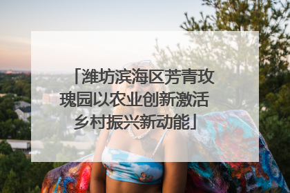 潍坊滨海区芳青玫瑰园以农业创新激活乡村振兴新动能