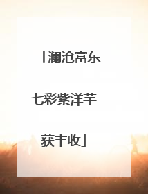 澜沧富东七彩紫洋芋获丰收