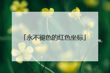 永不褪色的红色坐标