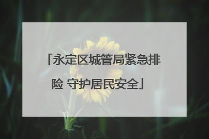 永定区城管局紧急排险 守护居民安全