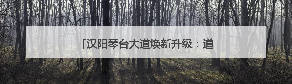 汉阳琴台大道焕新升级：道路扩容畅行，架空管线入廊
