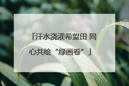 汗水浇灌希望田 同心共绘“绿画卷”