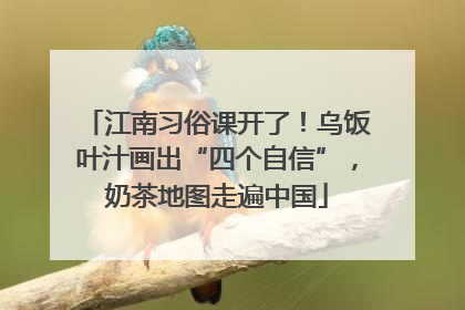 江南习俗课开了！乌饭叶汁画出“四个自信”，奶茶地图走遍中国