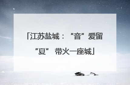 江苏盐城：“音”爱留“夏” 带火一座城