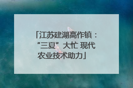 江苏建湖高作镇：“三夏”大忙 现代农业技术助力