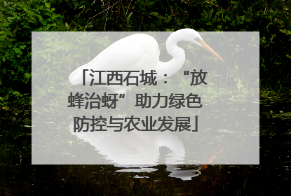 江西石城：“放蜂治蚜”助力绿色防控与农业发展