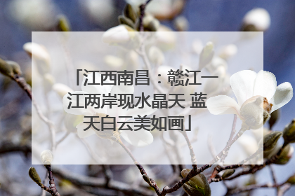 江西南昌：赣江一江两岸现水晶天 蓝天白云美如画