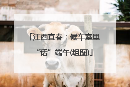 江西宜春：候车室里“话”端午(组图)