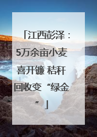 江西彭泽：5万余亩小麦喜开镰 秸秆回收变“绿金”