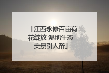 江西永修百亩荷花绽放 湿地生态美景引人醉