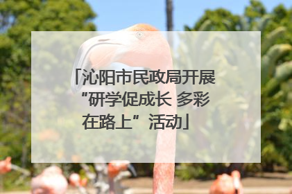 沁阳市民政局开展“研学促成长 多彩在路上”活动