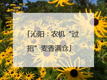沁阳：农机“过招”麦香满仓