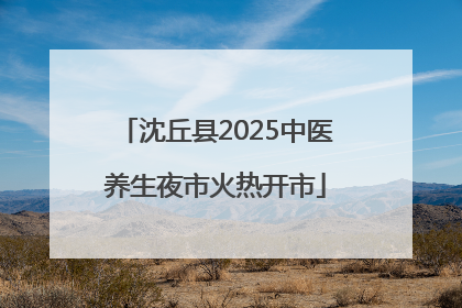 沈丘县2025中医养生夜市火热开市