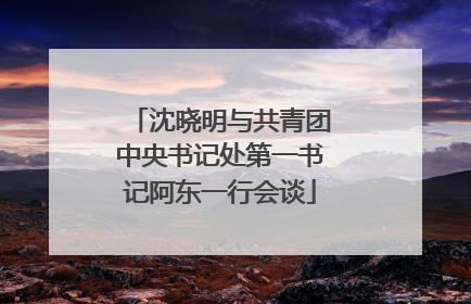 沈晓明与共青团中央书记处第一书记阿东一行会谈