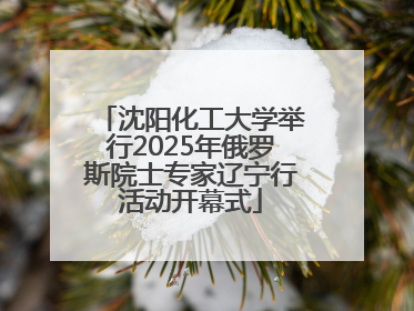 沈阳化工大学举行2025年俄罗斯院士专家辽宁行活动开幕式