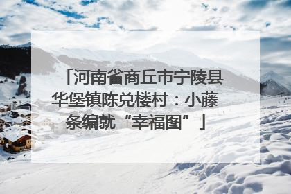 河南省商丘市宁陵县华堡镇陈兑楼村：小藤条编就“幸福图”