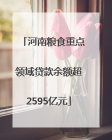 河南粮食重点领域贷款余额超2595亿元