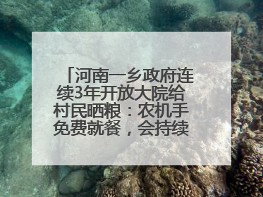 河南一乡政府连续3年开放大院给村民晒粮：农机手免费就餐，会持续开放到麦收结束