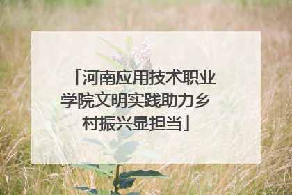 河南应用技术职业学院文明实践助力乡村振兴显担当
