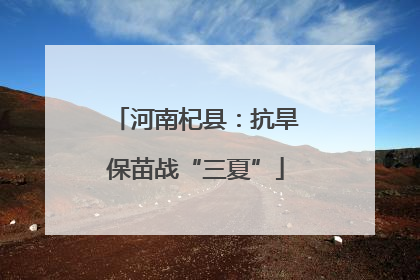 河南杞县：抗旱保苗战“三夏”