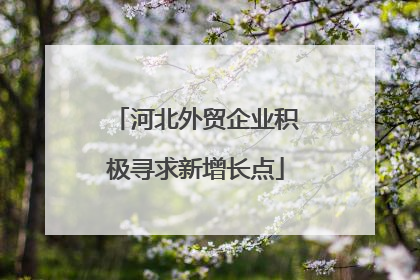 河北外贸企业积极寻求新增长点