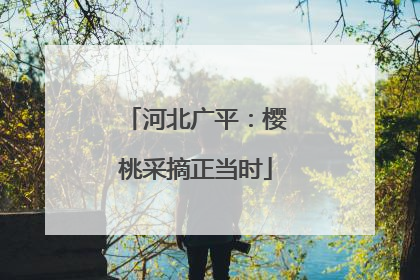 河北广平：樱桃采摘正当时