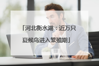 河北衡水湖：近万只夏候鸟进入繁殖期