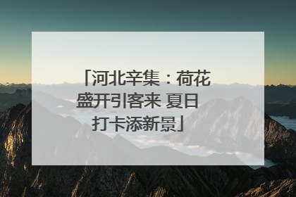 河北辛集：荷花盛开引客来 夏日打卡添新景