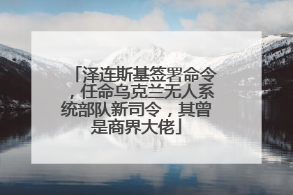 泽连斯基签署命令，任命乌克兰无人系统部队新司令，其曾是商界大佬