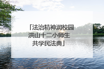 法治精神润校园 洪山十二小师生共学民法典