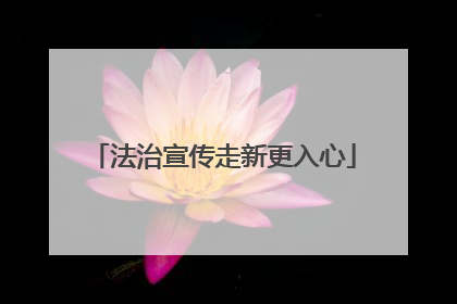 法治宣传走新更入心
