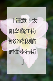 注意！太阳岛临江街部分路段临时变步行街