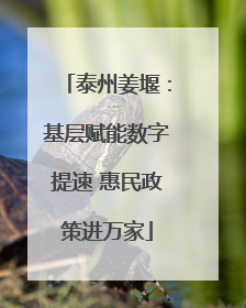 泰州姜堰：基层赋能数字提速 惠民政策进万家