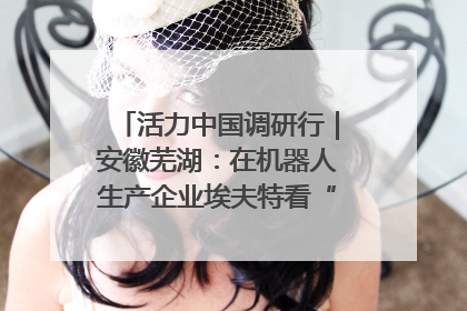 活力中国调研行｜安徽芜湖：在机器人生产企业埃夫特看“中国智造”