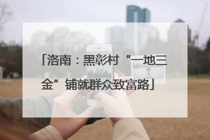洛南：黑彰村“一地三金”铺就群众致富路