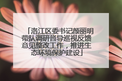 洛江区委书记颜丽明带队调研督导巡视反馈意见整改工作，推进生态环境保护建设