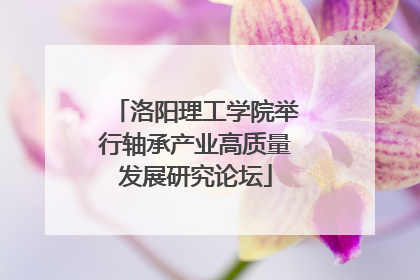 洛阳理工学院举行轴承产业高质量发展研究论坛