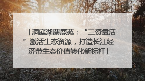 洞庭湖麋鹿苑：“三资盘活”激活生态资源，打造长江经济带生态价值转化新标杆