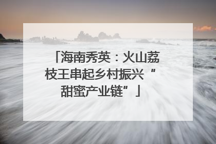 海南秀英：火山荔枝王串起乡村振兴“甜蜜产业链”