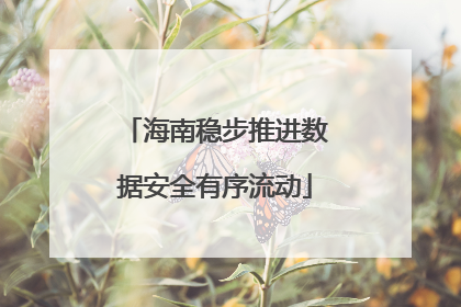 海南稳步推进数据安全有序流动