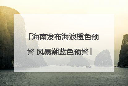 海南发布海浪橙色预警 风暴潮蓝色预警