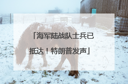 海军陆战队士兵已抵达！特朗普发声