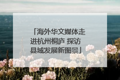 海外华文媒体走进杭州桐庐 探访县域发展新图景