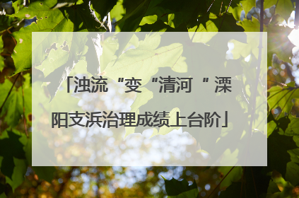 浊流“变“清河“ 溧阳支浜治理成绩上台阶