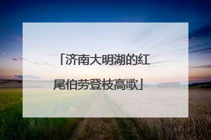 济南大明湖的红尾伯劳登枝高歌