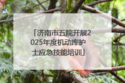 济南市五院开展2025年度机动库护士应急技能培训
