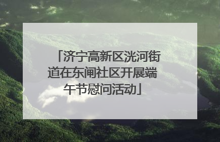 济宁高新区洸河街道在东闸社区开展端午节慰问活动